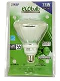 Feit Electric ESL18PAR38T 18-Watt PAR 38 Outdoor Compact Fluorescent (75-Watt Incandescent Equivalent)
