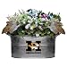 NCAA Missouri Tigers Planter Tub