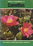 Camellias