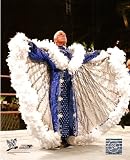 Ric Flair Retirement Match WWE WrestleMania 24 8x10