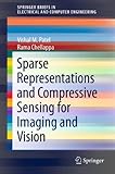 Sparse representations and compressive sensing for imaging and vision