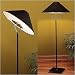 Lumisource Tip-Top Floor Lamp - Black