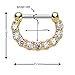 BodyJ4You 16G Septum Clicker and Horseshoe Circular Barbell 16 Gauge Surgical Steel - 2 Pieces