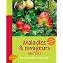 Maladies & ravageurs des fruits : Les reconnaître et les traiter