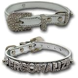Metallic Silver Personalized Swarovski Bling Dog Puppy Collar Small