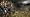 Warhammer: Battle March