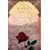 Rooftops of Tehran: A Novel