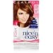 Clairol Nice 'N Easy Color Blend Foam Hair Color 6.5g Lightest Golden Brown 1 Kit