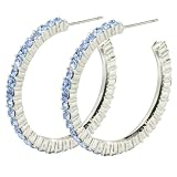 Blue Hoop Dangle Earrings