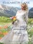 The Borrowed Bride (Harlequin Historical Series)