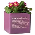 Cube Planter "Grandmother" - Purple (6")