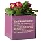 Cube Planter "Grandmother" - Purple (6")