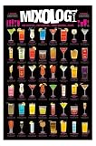 1art1 49075 Cocktails - Mixology Poster (91 x 61 cm)