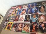 WWE TNA ECW WCW NWO Wrestling Lot of 100 Trading Cards Includes - WWE Diva Lita, Debra, Stephanie McMahon Helmsley, Ivory, Jazz, Molly Holly, Nidia, Jacqueline, Lawrence Taylor, Lance Cade, Trevor Murdoch, Carlito, TNA Knockout Tara, Jeremy Borash, Hernandez, Daniel Bryan, Mr. Anderson, Teddy Long, Edge, Dolph Zigler, Michael Cole, Stone Cold Steve Austin, Rob Van Dam, Jim Ross, Scott Steiner, Ric Flair, Triple H, Goldust, TNA Knockout Trinity, Syxx-Pac, Vampiro, Sonny Siaki, Hamada, Jimmy Hart, Orlando Jordan, Kazarian, George The Animal Steele, Doug Williams, Lethal Consequences, Brian Kendrick, Rob Terry, Desmond Wolfe, Eric Young, Dr. Stevie, Steiner Brothers, Kevin Sullian, Johnny Nitro, Fabulous Freebirds, Benchwarmers, Stacy Darling, Zoe Gregory Paul, Sharmon Moore, Renee Solan, Sandra Taylor, Daniel Bryan, Wade Barrett, Terry Funk, Bam Bam Bigelow, Don Muraco, Kevin Nash, Outback Jack, Can Am Connection, The Patriot, Renee Dupree, Mean Gene Okerlund, Homicide, Petey Williams, Jimmy Rave, Lance Hoyt, Rellik, Rudy Charles, TNA Knockout Roxxi, James Mitchell, Don West, Petey Williams, Scott Steinter, Tomko, A.J. Styles, Jim Cornette, Mark Johnson, Kurt Angle, Southern Boys, Ricky Morton, Doom, El Gigante, Dutch Mantel, Z-Man, Arn Anderson, Flying Brian Pillman, Terry Taylor, Sid Vicious, Eugene & Scott Hall