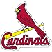 Saint Louis Cardinals MLB Precision Cut Magnet by Wincraft