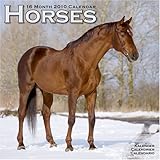 horses 2010 wall calendar 30122 10