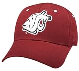 Zephyr Washington St. Cougars DH Fitted Hat