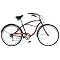 Summer City Bicycling
