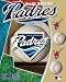 San Diego Padres 3D Motion Poster 16x20 Image