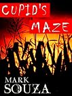 Cupid's Maze