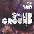 Solid Ground