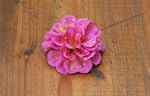 Haarschmuck Haarbl�te Haarblume Haars...