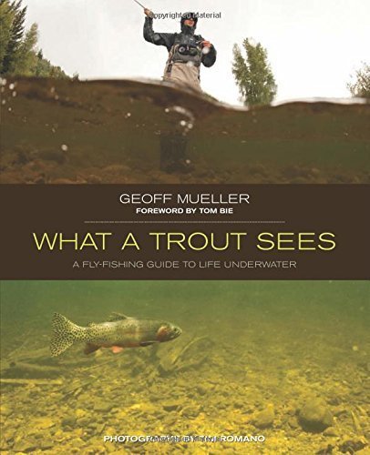 What a Trout Sees: A Fly-Fishing Guide To Life Underwater by Geoff Mueller (2013-04-02)