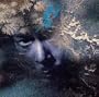 Holonic The Self Megamix