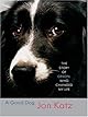A Good Dog: The Story of Orson, Who Changed My Life