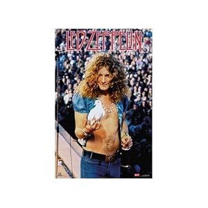 Led Zeppelin ~ Robert Plant Holding Dove ~ Woodstock ~ Poster Print Approx 22 X 34 Inches