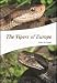 The Vipers of Europe