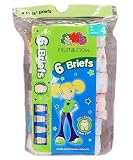 Fruit of the Loom Girls 2-6x 6 Pack Girls Wardrobe Cotton Brief,Multi,4