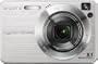Sony Cybershot DSCW130 8.1MP Digital Camera with 4x Optical Zoom with Super Steady Shot (Silver)