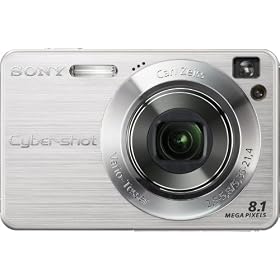 Sony Cybershot DSCW130 8.1MP Digital Camera with 4x Optical Zoom with Super Steady Shot (Silver)