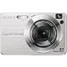 Sony Cybershot DSCW130 8.1MP Digital Camera with 4x Optical Zoom with Super Steady Shot (Silver)