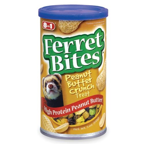 Favorite Pet Rat Treats