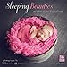 Sleeping Beauties: Newborns in Dreamland 2014 Wall (calendar)