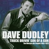 Truck Drivin Son of a Gun: the Mercury Hit Singles 1963-1973