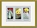 Gold Framed/Matted Print 17x23, Astrophytum Ornatum