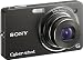 Sony Cyber-shot DSC-WX1/B + WSP/iCon Case, 10MP \