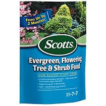 Scotts Miracle Gro 1009101 EverGreen Tree Food 3 lb