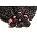 Nadula 8A Unprocessed Brazilian Curly Virgin Human Hair with Free Part Lace Closure Pack of 4 Remy Human Hair Natural Color (12 14 16+10closure)