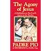 The Agony of Jesus