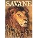 Savane