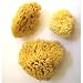 3pc Natural Wool Sea Sponge Set - Luxurious, Traditional & most popular