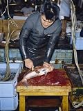 Cutting Live Fish, Morning Fish Market, Tsukiji, Tokyo, Japan Photographic Poster Print