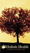 Holistic Health: A Tibetan Monk'S View