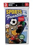 3-Pack Hanes Toddler Boys Fashion Boxer Brief TB74AS