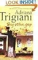 Big Stone Gap: A Novel (Big Stone Gap Saga 1)