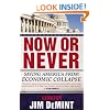 Now or Never: Saving America from Economic Collapse